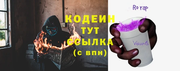 индика Баксан
