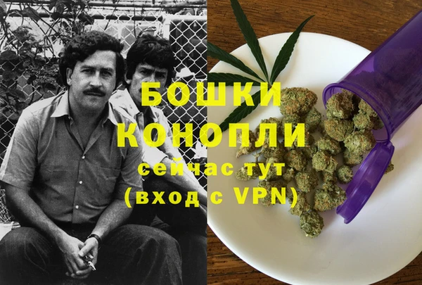 сатива Сафоново