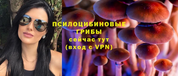 индика Баксан