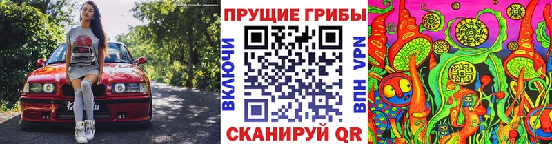 Псилоцибиновые грибы мухоморы  как найти наркотики  Шуя 